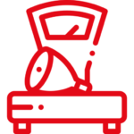 Ücretsiz Parçalama & Paketleme